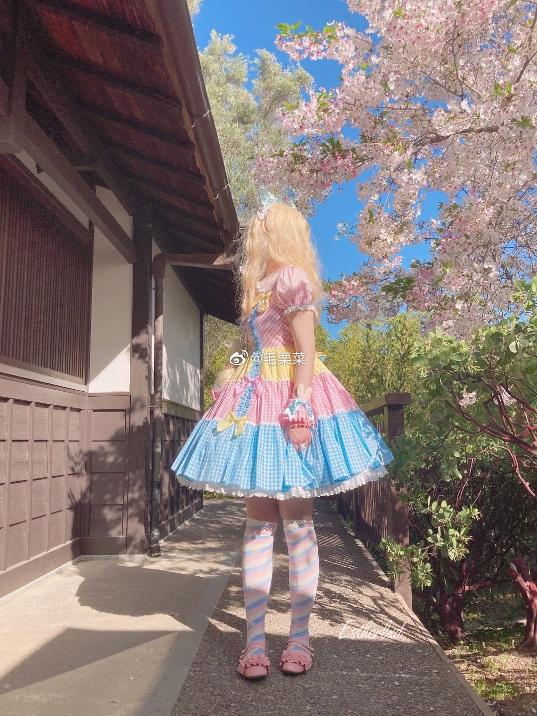 Thumbnail 7