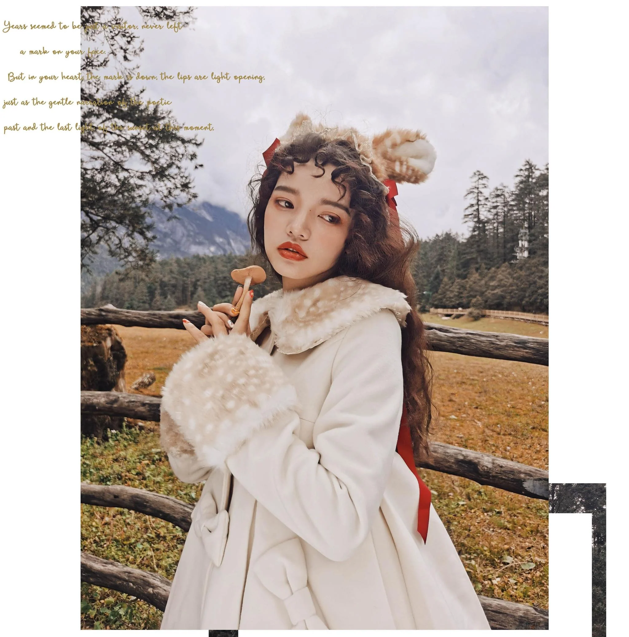 Thumbnail 14